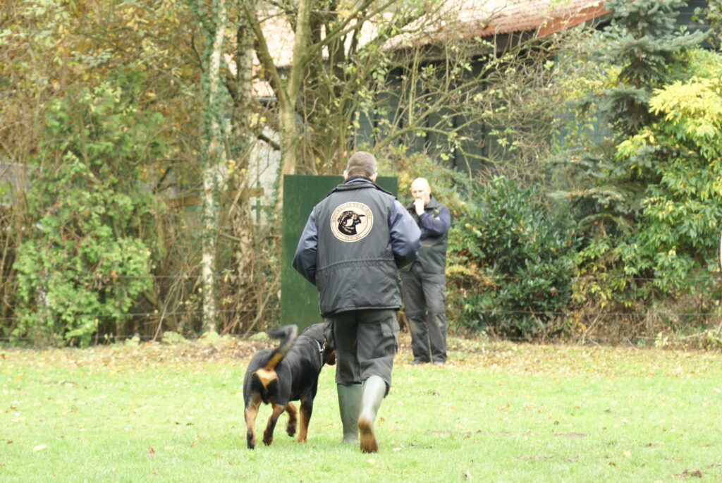 Rottweiler werkgroep tilburg